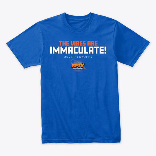 The Vibes Are Immaculate T-Shirt